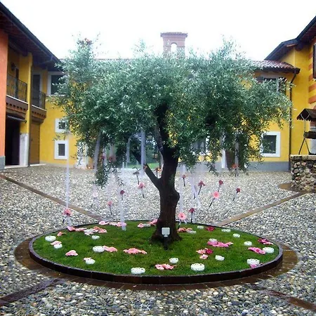 Macesina *